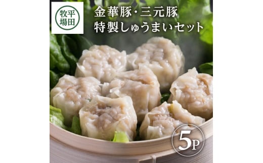 特製しゅうまい 40個 880g 8個入5パック 金華豚 三元豚 ブランド豚 焼売 シューマイ しゅうまい 中華料理 国産素材 国産 冷凍 贈り物 贈答 ギフト 平牧 平田牧場 山形 酒田 SA0930