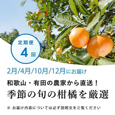 ふるさと納税 日高町 【発送月固定定期便】季節の柑橘定期便A【フルーツ定期便】【和歌山県有田】全4回 |  | 01