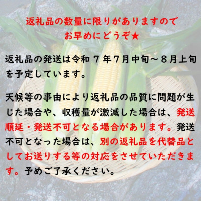 【先行受付2025年】とうもろこし味来(みらい　約3.0kg)　数量限定【配送不可地域：離島】