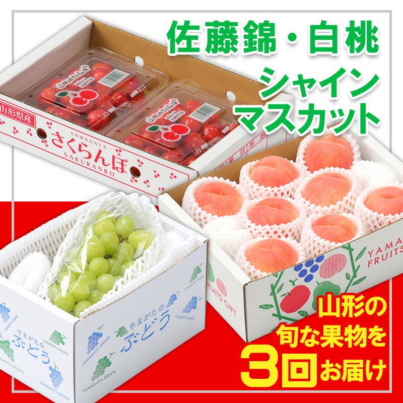 【ふるさと納税】【定期便3回】☆フルーツ王国山形☆『佐藤錦、白桃、シャインマスカット』 FZ26-814