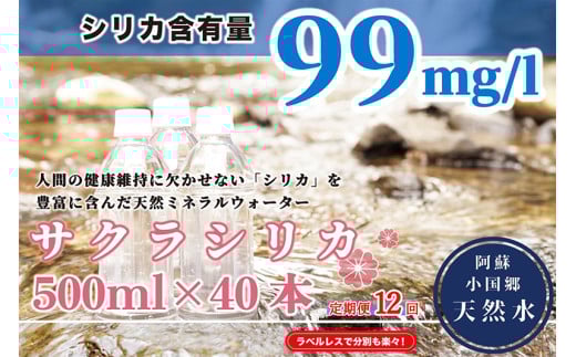 【12回定期便】天然水「サクラシリカ」500ml 40本 12回 計480本 定期便 シリカ含有量99mg/L シリカ水 ラベルレス 水 ミネラルウォーター 飲料水 飲料 ペットボトル ナチュラルウォーター サルフェート 炭酸水素イオン ミネラル 国産 阿蘇 小国郷