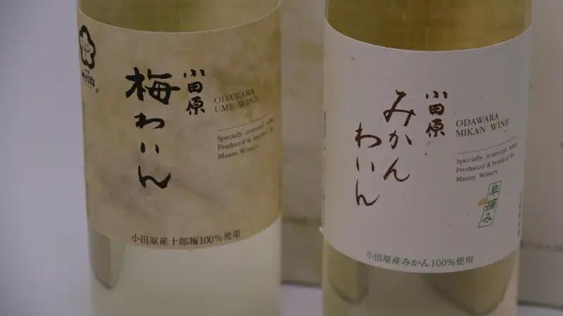 城下町小田原の飲み比べわいんBセット（2本セット)【ワイン】
