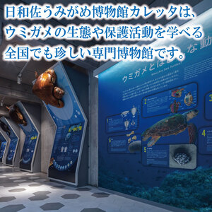 日和佐うみがめ博物館カレッタ 入館券 大人2名分 ドリームチーム