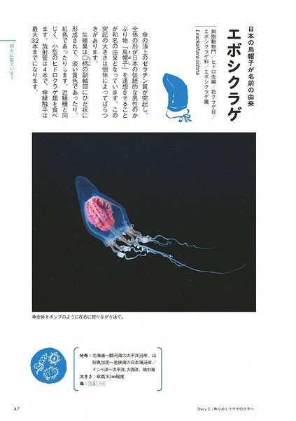 『ときめくクラゲ図鑑』