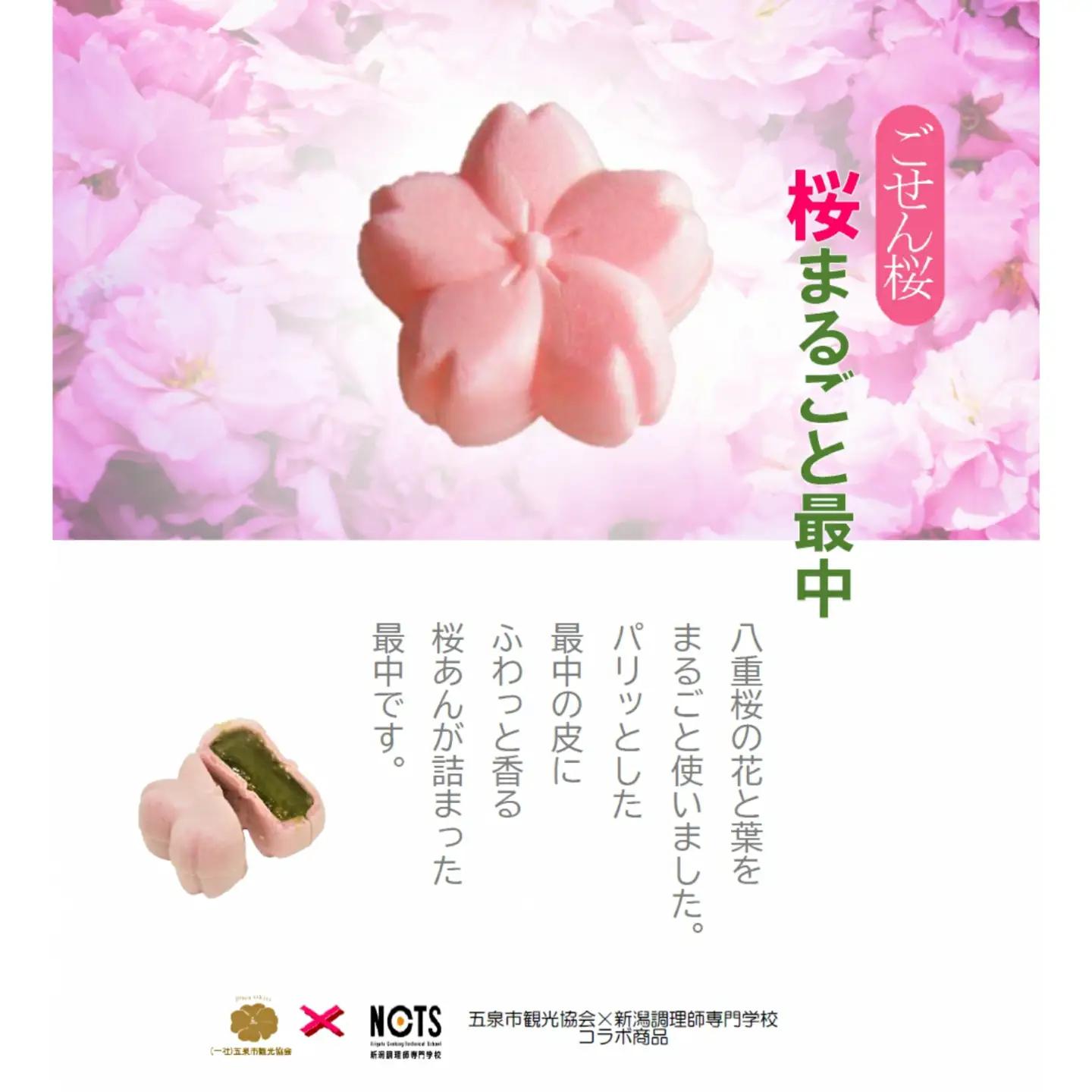 うどんと最中セット ( ごせん桜うどん 花3把 葉2把・桜まるごと最中8個 )