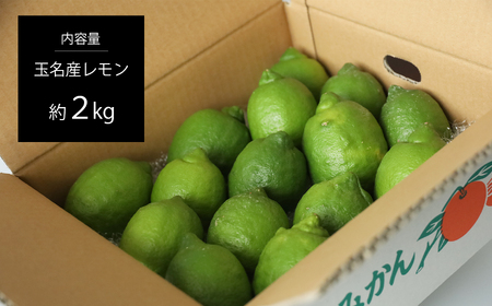 玉名市産 レモン 2kg 【 熊本玉名・みかん専門店より 】 | フルーツ 果物 くだもの 柑橘 れもん 玉名 たまな 熊本県 玉名市