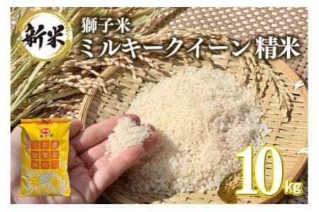 【3月発送】獅子米 ミルキークイーン 精米 10kg 岡田ファーム お米 白米 米 おこめ ブランド米 ミルキー 10キロ 国産 単一原料米 コメ こめ ご飯 銘柄米 茨城県産 茨城 産直 産地直送 農家直送 ごはん 家庭用 贈答用 お取り寄せ ギフト 茨城県 石岡市 (B02-042)