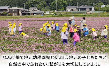 【12月中旬より発送】 みたけ のし餅 5合（約1㎏）/餅 お餅 のしもち/御嵩町/株式会社アオキ[AVBN002]