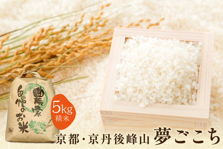 2025年産 京都・京丹後峰山 特別栽培米夢ごこち 5kg 【白米】