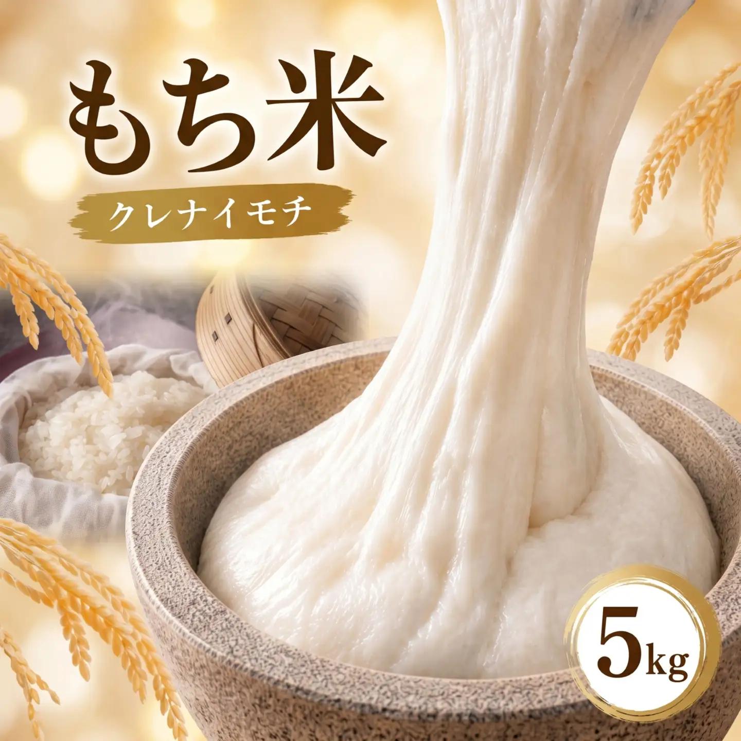 もち米 5kg 令和7年産 【 もち米 】