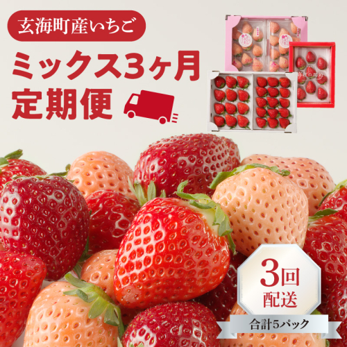 ★予約受付★杉山いちご農園 玄海町産いちご　ミックス定期便