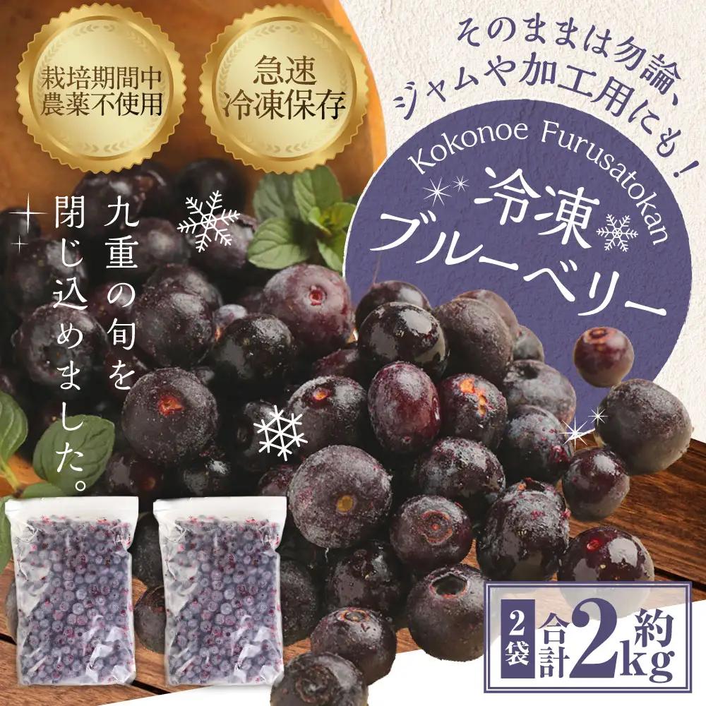 九重町産 冷凍 ブルーベリー 約2kg (1kg×2袋) 果物 フルーツ 冷凍フルーツ 冷凍果物 大分県 九重町産 
