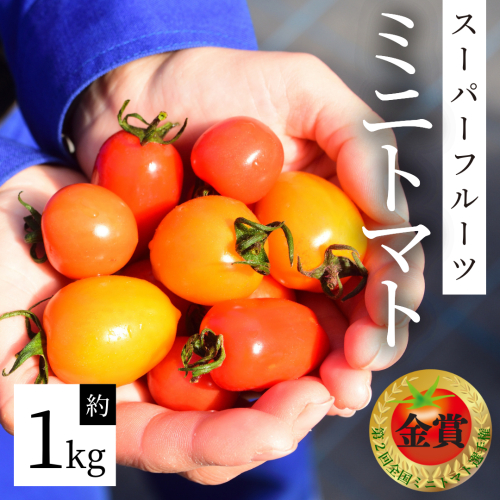 《 2027年 収穫分 》 スーパーフルーツミニトマト 約1kg 先行予約 ミニトマト フルーツトマト ブランドトマト 野菜 ギフト 贈答 [BC070sa]
