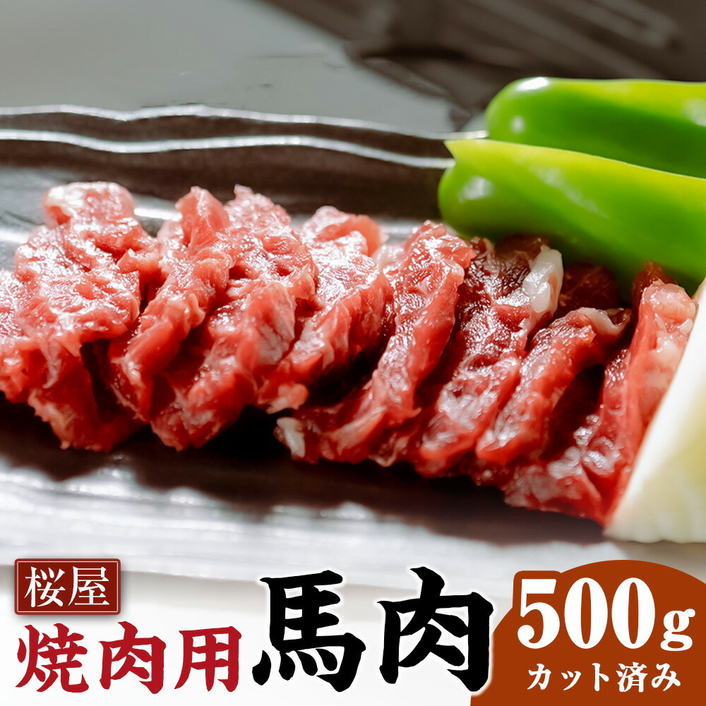 【ふるさと納税】【桜屋】馬肉 焼肉用 500g カット済 馬肉 お肉 馬焼き 焼肉 焼き肉 冷凍 熊本県 水俣市 送料無料