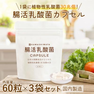 ふるさと納税 瑞穂町 日本の発酵食品からとれた「腸活乳酸菌カプセル」60粒×3袋(1袋:18g)セット