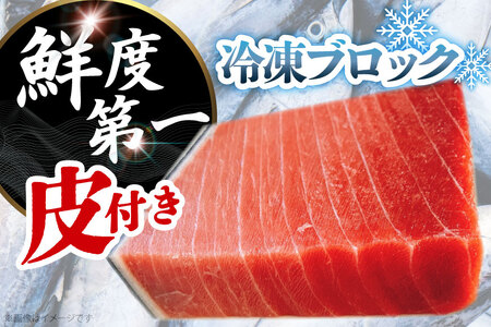 マグロ 本マグロ 大トロ 約600g 皮付き