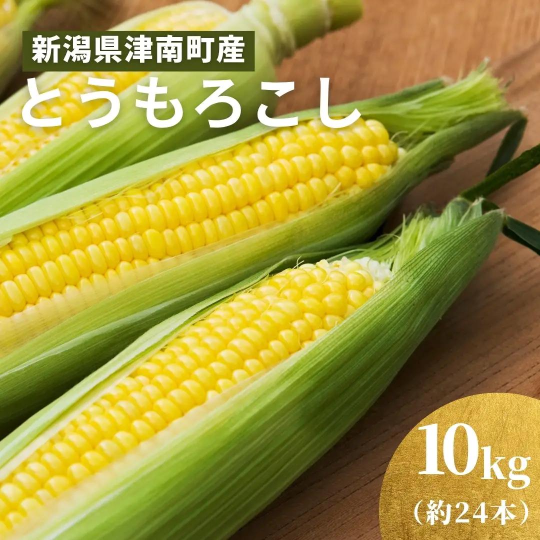 とうもろこし 朝採れ ゴールドラッシュ 10kg 約24本 7月下旬発送開始 |津南町 とうもろこし