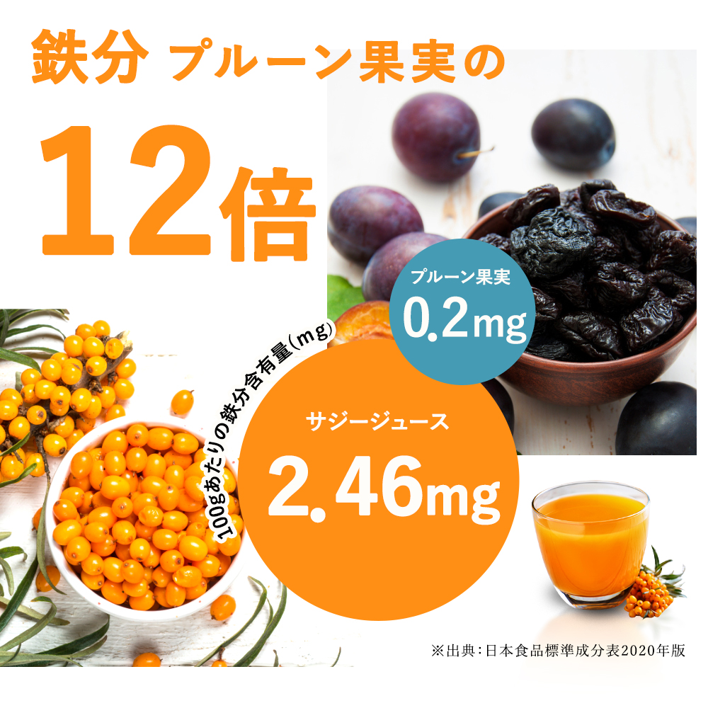 サジージュース 100% 1000ml×2本 ［ギフト用］サジー シーベリー 沙棘 グアマラル 健康ドリンク 健康 美容 栄養 果汁 鉄分補給 栄養補給 健康食品 ギフトBOX入り_DX14