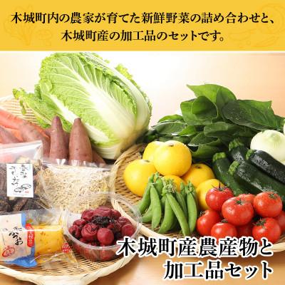 ふるさと納税 木城町 木城町産農産物と加工品セット |  | 03
