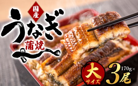【大型サイズ】ふっくら柔らか 国産うなぎ蒲焼き 3尾/うなぎ ウナギ 鰻 うなぎ蒲焼 国産 【uot303A-3】