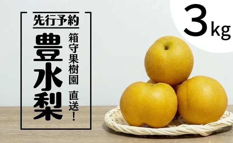 梨 豊水 3kg 先行予約 産地直送