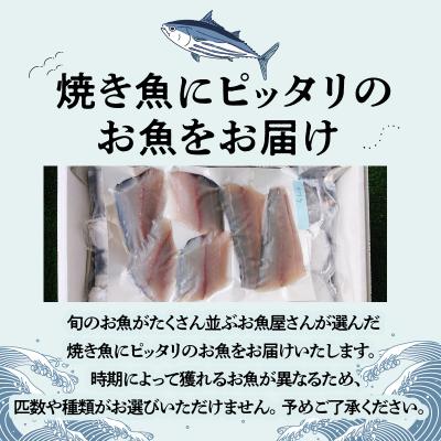ふるさと納税 天草市 【指定日必須】焼き魚用　鮮魚セット_S121-001A |  | 01