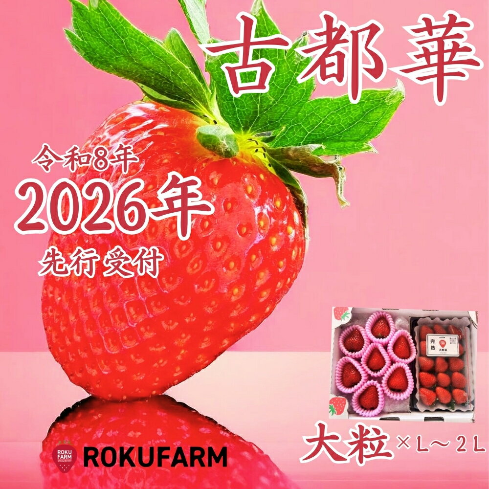 【ふるさと納税】 いちご 大粒 9~12個 L~2Lサイズ 約250g 奈良 ことか 2026年1月以降発送 1箱 冷蔵 先行予約 数量限定 古都華 イチゴ 苺 人気 おすすめ フルーツ 果物 ストロベリー スイーツ デザート 産地直送 旬 新鮮 ギフト 贈答 お歳暮 プレゼント 奈良県 奈良市 6FARM