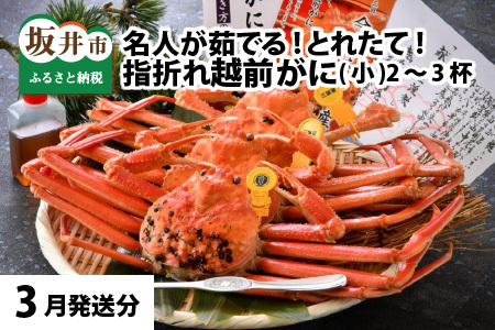 【先行予約】名人が茹でる とれたて指折れ越前がに(小) 2～3杯【3月発送分】 [C-4352_03]