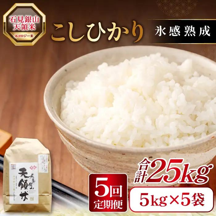 【定期便】石見銀山天領米(5kg×5回お届け)【定期便 定期 5回 コシヒカリ 精米 5kg×5回 合計25kg 島根県産 大田市産 米 氷感熟成 エコロジー米 天領米】