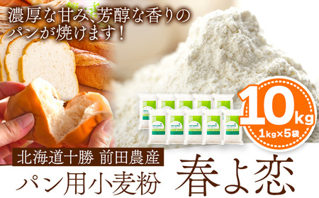 北海道十勝前田農産パン用小麦粉「春よ恋」1kg×10袋 計10袋 有限会社 十勝太陽ファーム 送料無料 北海道 本別町《60日以内に出荷予定(土日祝除く)》小麦粉小麦粉小麦粉小麦粉小麦粉