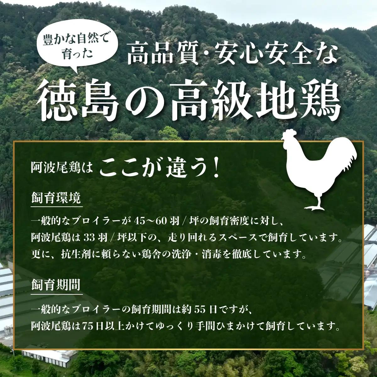 阿波尾鶏 バターチキンカレー 20人前 180g×20パック 国産 鶏肉 地鶏 あわおどり むね肉 カレー AWAODORI LAB