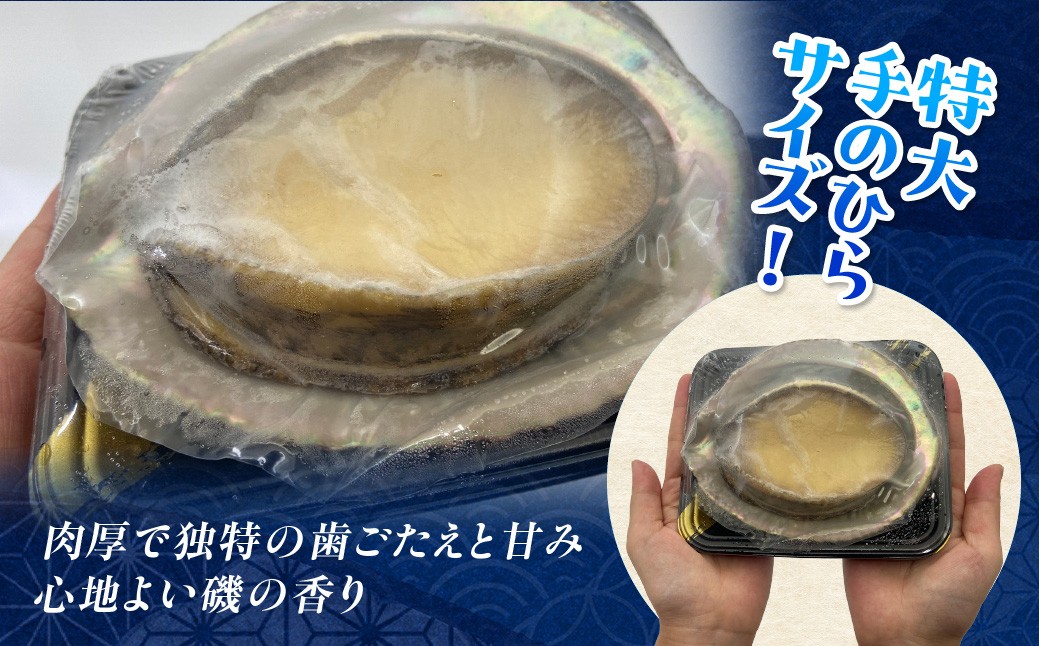 １つの大きさの目安です。