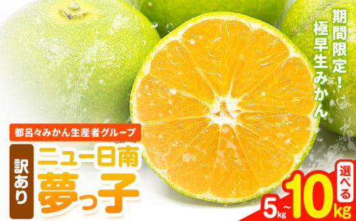 訳あり みかん ニュー日南 (夢っ子) 選べる 5kg 10kg 都呂々みかん生産者グループ《2025年9月中旬-10月上旬頃出荷》フルーツ 果物 くだもの 柑橘 柑橘類 蜜柑 熊本県 苓北町【配送不可地域あり】