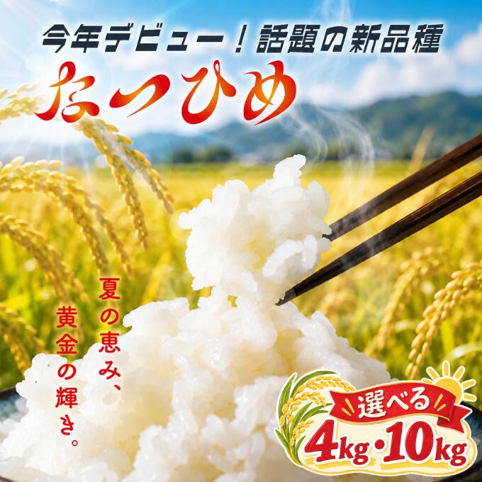 【ふるさと納税】 新米 なつひめ 4kg 10kg 新潟産 新品種 令和8年産 米 白米 こめ 大粒 ごはん おにぎり お弁当 農家直送 産地直送 ふるさと納税 川瀬農園 新潟 新潟県 新発田市 kwsNH001
