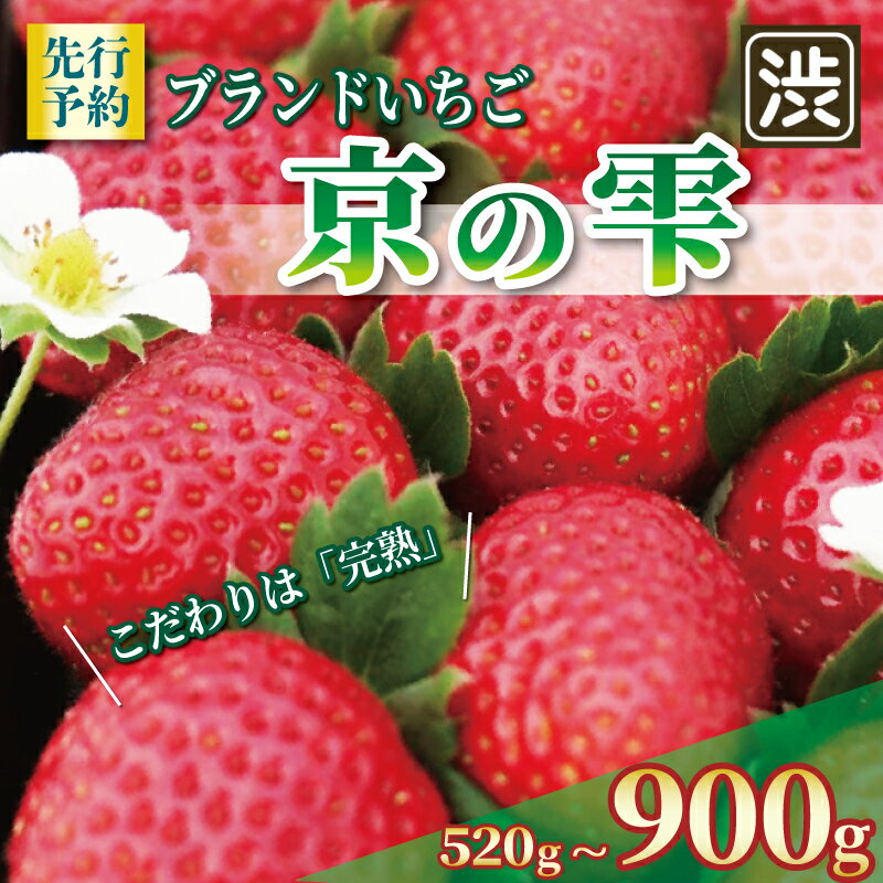 【ふるさと納税】 京都のブランドいちご 京の雫 いちご 選べる 内容量 520g 900g 《2025年12月～2026年5月発送》 イチゴ 苺 フルーツ くだもの 果物 デザート ケーキ ジャム デザート おやつ 甘い 糖度 新鮮 産地 直送 フレッシュ 人気 おすすめ 京都 八幡 八幡市 渋谷農園