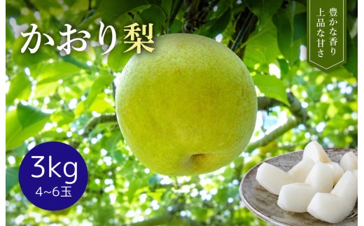 【先行予約 】かおり3kgかまがやの梨