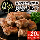 【ふるさと納税】【訳あり】＜鹿児島県産黒豚使用！＞黒豚肉巻き餃子(計20個・(約30g×10個)×2袋) 訳あり わけあり ワケアリ 簡易包装 小分け 真空パック 真空 黒豚 餃子 ぎょうざ 肉巻き 肉巻き餃子 惣菜 総菜 おかず【ナンチク】