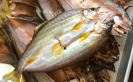 清流長良川　天然鮎　一夜干し