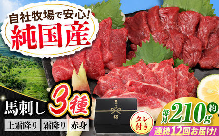 【全12回定期便】『純国産』熊本の味 馬刺し お試し 3種 セット 計約210g（2～3人前）上霜降り 霜降り 赤身 タレ付   馬刺し 馬刺し 馬刺し 馬刺し 馬刺し[AYCN072]