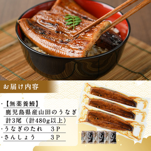 【無薬養鰻】 鹿児島産 山田のうなぎ ＜計480g以上＞（160g以上×3尾） うなぎ 鰻 ウナギ 無薬 養鰻 無投薬 3尾 国産 九州産 蒲焼き かばやき 冷凍 うな重 ひつまぶし タレ 山椒 ラン