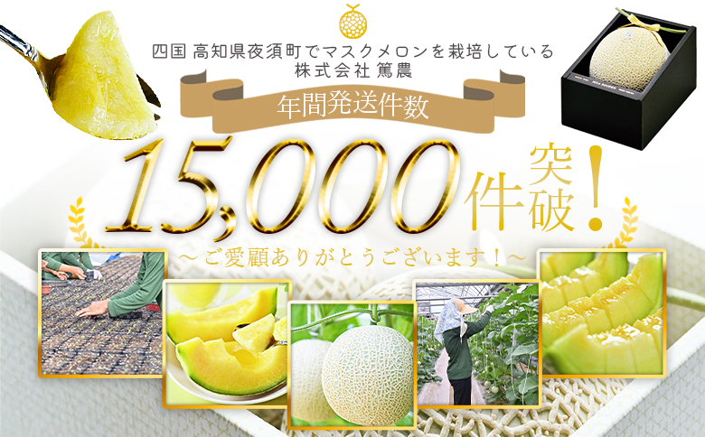【14日程度で発送】一果相伝 マスクメロン 1玉入り - メロン めろん フルーツ 1万円以上 10000円以上 スピード tn-0010