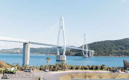 【返礼品なし】 長崎県 西海市 ふるさと応援寄附金（5万円分）【長崎県西海市】[CZZ035]