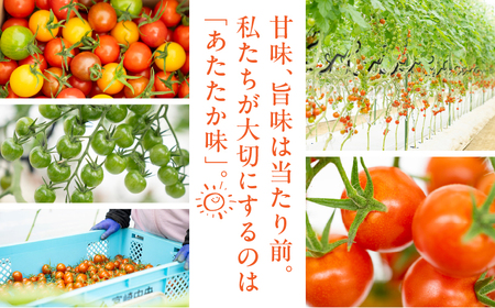 【数量・期間限定】美トマト(5色) 1kg ミニトマト 野菜 ギフト