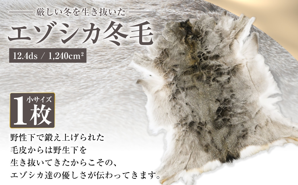 
                  【 7営業日程度で発送 】 エゾシカ冬毛 （ 小 ） 1枚 （ 12.4ds / 1,240cm² ） 冬毛 毛 毛皮 エゾシカ 蝦夷鹿 保温効果 断熱効果 アウトドア キャンプ フィッシング リビング マテリアル
                