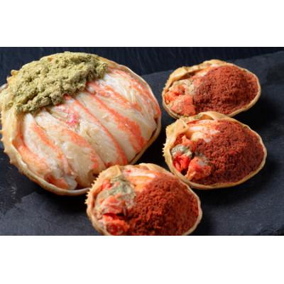 ふるさと納税 京丹後市 蟹の匠 魚政のプレミアムズワイガニ 雌雄の甲羅盛り 夫婦宝船 特大サイズ(11月〜12月発送) |  | 01