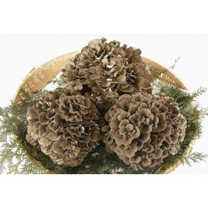 【のし付き】まいたけ粉末(30g×3袋)【1429447】