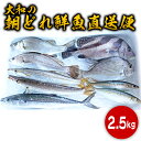 【ふるさと納税】【単月お届け】大和海商の朝どれ鮮魚直送便　2.5kg　旬　国産　宮崎県延岡市　送料無料