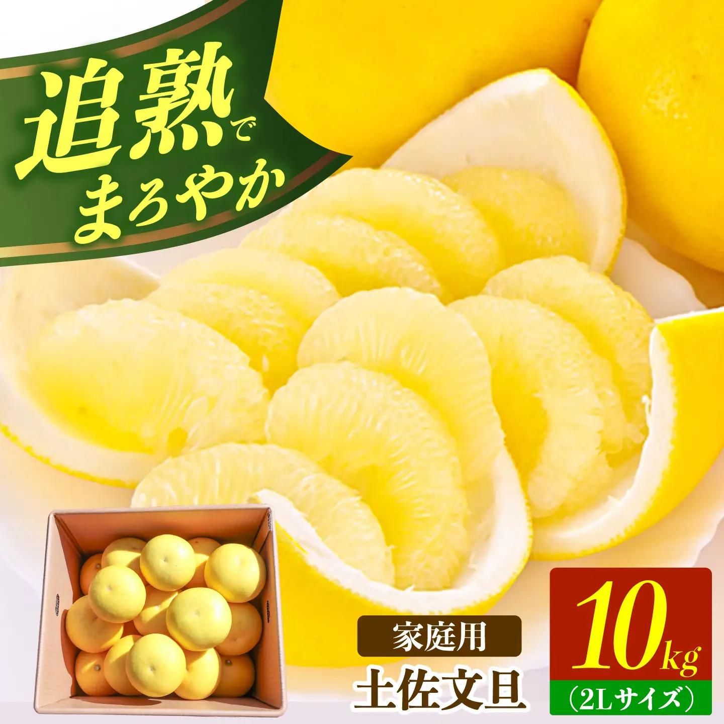 【先行予約】土佐文旦の創始 宮地文旦園の土佐文旦 家庭用2L 約10キロ 20～22個入り 10kg〈2027年3月上旬～4月下旬〉 高知県 土佐市【宮地文旦園】[BQBP006]