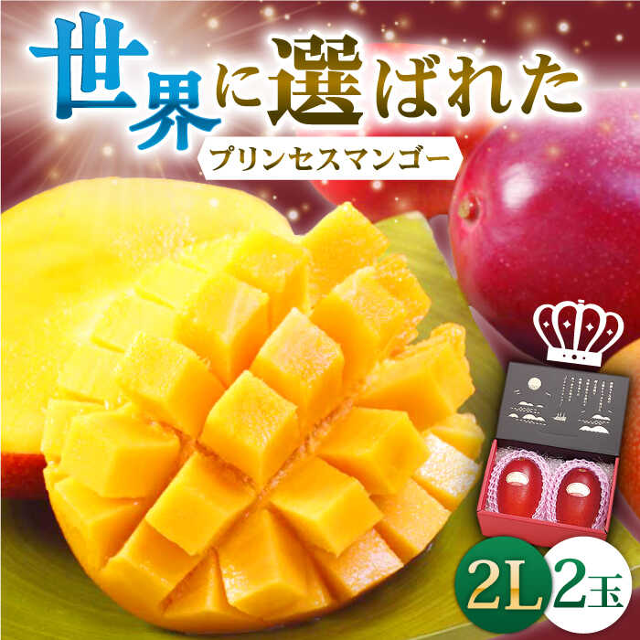 【ふるさと納税】【先行予約】「心地よい至福の果肉感！」完熟プレミアム プリンセス マンゴー 2L×2玉 【堀内フルーツファーム】 [QAT007] 完熟 マンゴー 果物 フルーツ デザート ギフト 贈り物 南国 トロピカル サラダ シャーベット ビタミン 果実 プロ 26000円 2万6千円