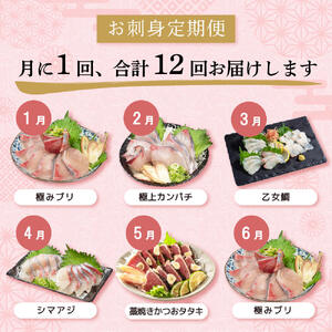 【 刺身 】 刺身定期便 12ヶ月
